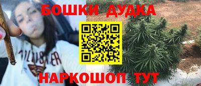 Альфа ПВП Лесосибирск