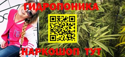 Альфа ПВП Лесосибирск
